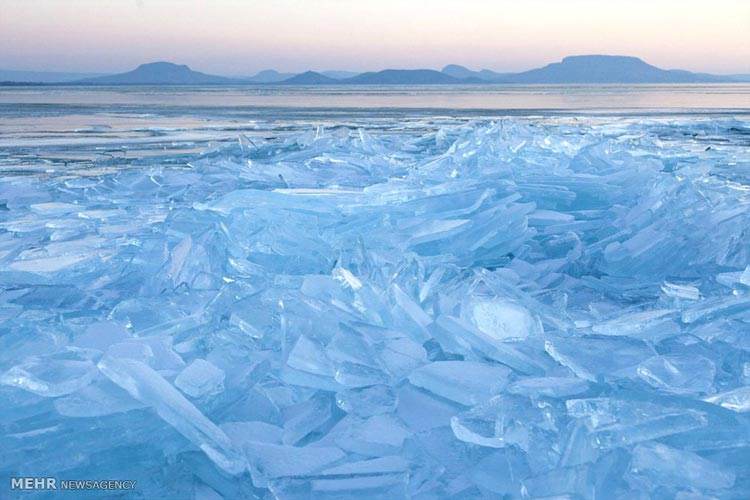 عکسهای دیدنی برگزیده خبری روز جهان (113)