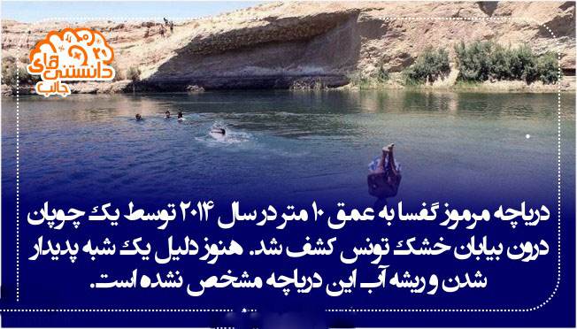 دانستنی های خواندنی و جالب از همه جا
