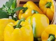 فلفل دلمه معجزه درمانی برای زخم معده