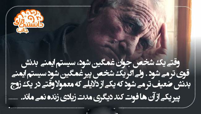 جدیدترین دانستنی های علمی عکس نوشته سال 2017
