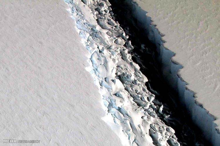 عکسهای دیدنی برگزیده خبری روز جهان (113)
