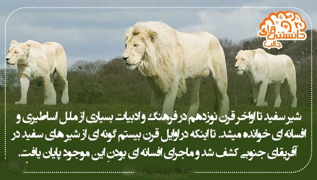 دانستنی های جالب و خواندنی بصورت عکس نوشته