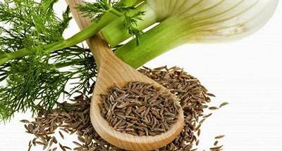 خاصیت های گیاه دارویی رازیانه یا بادیان خاصیت های گیاه دارویی رازیانه یا بادیان
