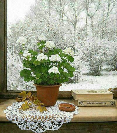 متن های عالی و ناب زندگی زیباست