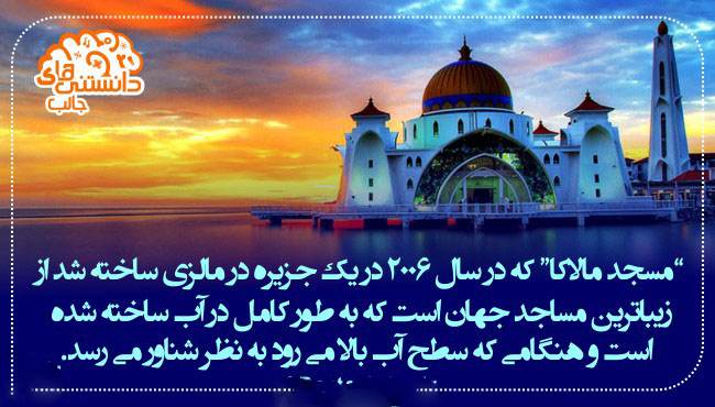 دانستنی های خواندنی و جالب از همه جا