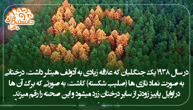 دانستنی های علمی و جالب سال 96 -2017