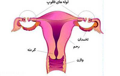 تاثیر عمل برداشتن رحم در میل جنسی بانوان