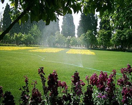 سفر به باغ زیبای جهان نما در شهر شیراز سفر به باغ زیبای جهان نما در شهر شیراز