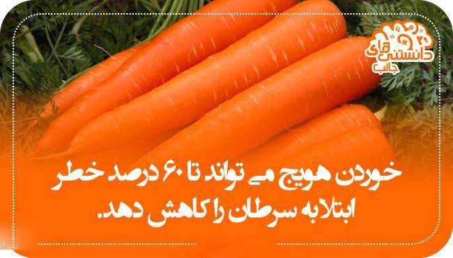 دانستنی های جالب و خواندنی تصویری 1396