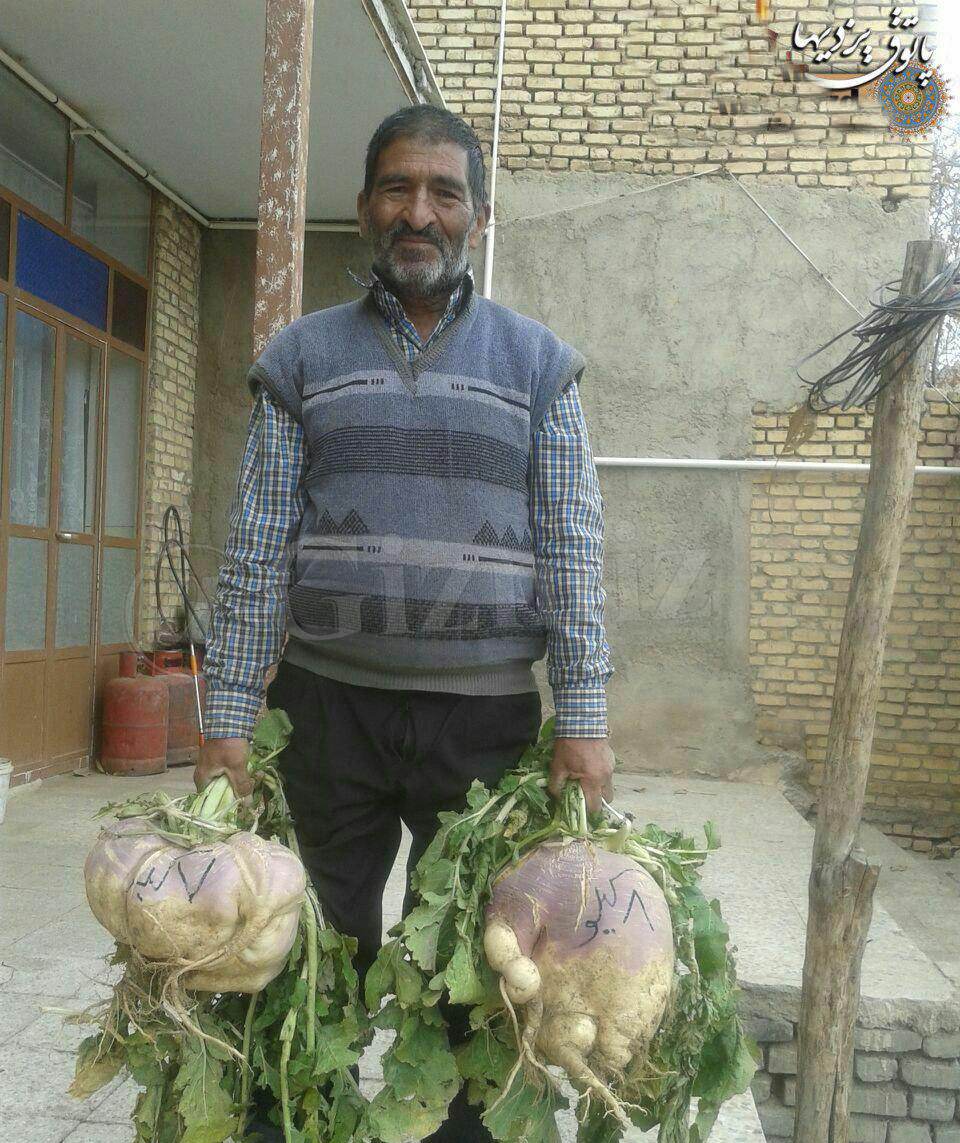 عکس های بامزه و خنده دار روز را ببینید (152) عکس های بامزه و خنده دار روز را ببینید (152)