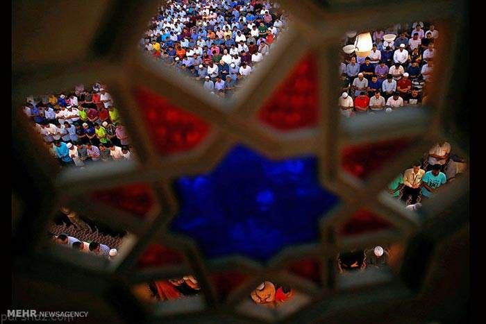 عکس های خبری جنجالی هفته را ببینید (121)