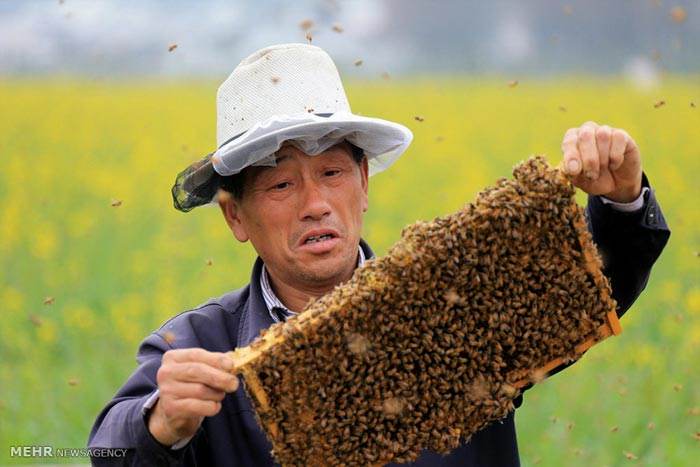 عکس های خبری و جنجالی روز دنیا را ببینید (119) عکس های خبری و جنجالی روز دنیا را ببینید (119)