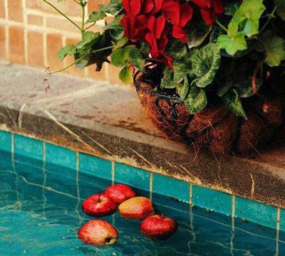 اس ام اس فلسفی با معنای عمیق و عرفانی