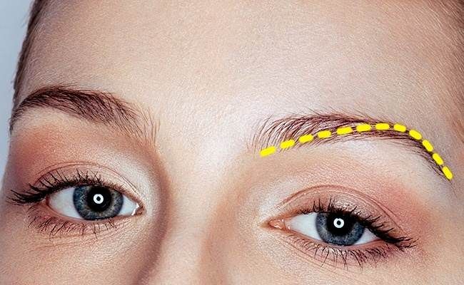 شخصیت شناسی جالب از روی شکل ابروهای زنان