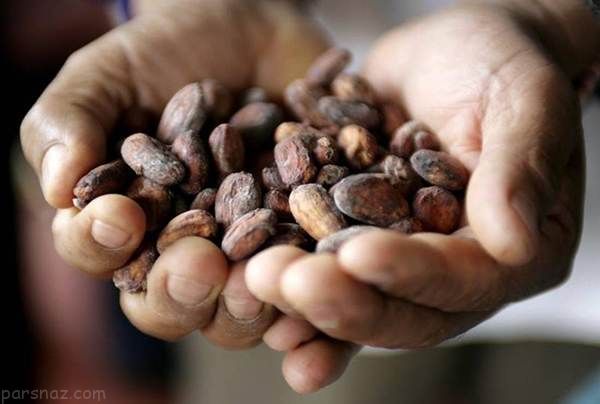 آشنایی با کشور پرو سرزمین قهوه آمریکای لاتین