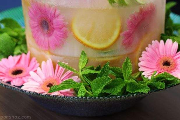 آموزش کاربردی تزیین یخ با گل و میوه ها
