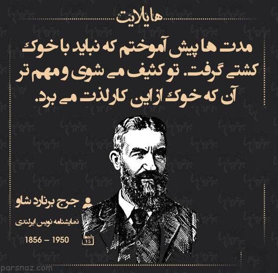 دلنوشته های زیبا از بزرگان نامدار در قاب هایلایت