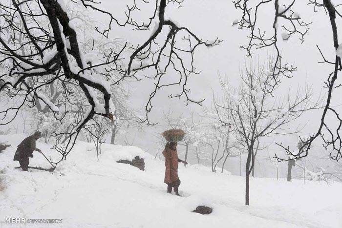 عکس های خبری جنجالی هفته را ببینید (121)