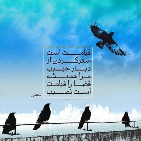 کارت پستال های عاشقانه و شاعرانه زیبا