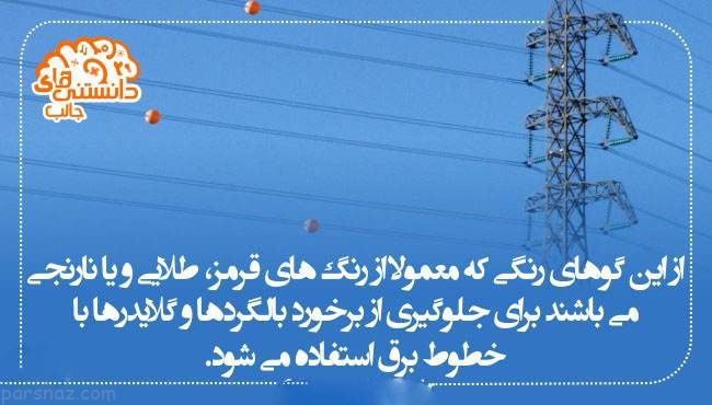 دانستنی ها و اطلاعات جالب از همه جا