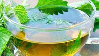 معرفی داروهای گیاهی برای درمان کم خونی