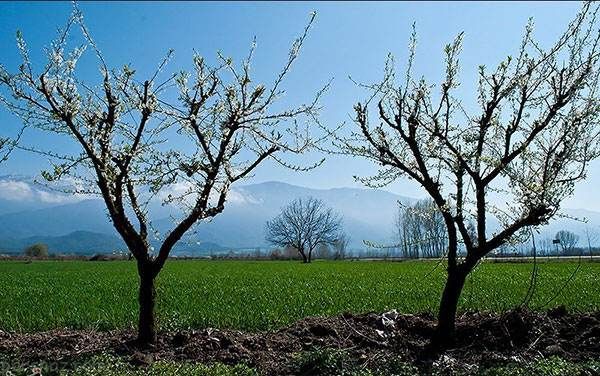 عکس های زیبا و دیدنی از فصل بهار در مازندران