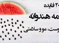 خاصیت های مفید تخم هندوانه برای سلامتی