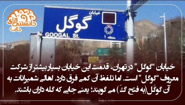 دانستنی ها و اطلاعات جالب از همه جا