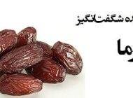 خاصیت های مفید خرما معجزه خوراکی طبیعی