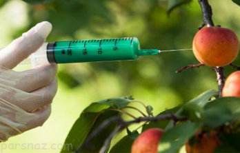 هشدار درباره بیماری زا بودن محصولات تراریخته