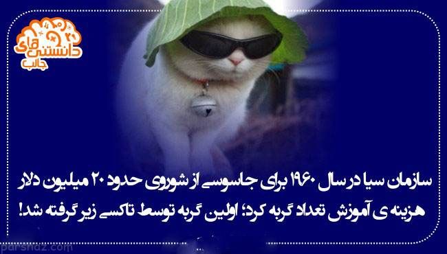 دانستنی ها و اطلاعات جالب از همه جا