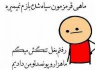 عکس نوشته های آخر خنده و طنز سری جدید (184)