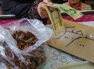 غذا درست کردن با جیرجیرک در کرمان +عکس