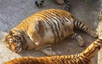 عکس های خنده دار و سوژه های جدید ایرانی (212)