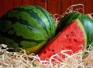 آیا خوردن هندوانه افراد را چاق می کند؟