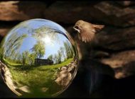 مروری بر ماندگارترین دیالوگ های تاریخ هنر سینما