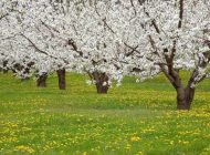 اشعار ناب و خواندنی اوحدی مراغه ای