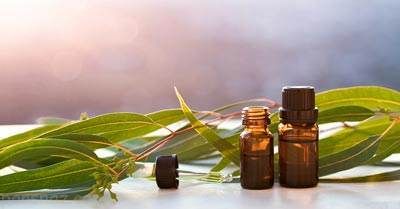 روغن اوکالیپتوس و خواص آن را بشناسید