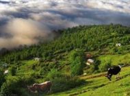 معرفی بهترین جاذبه های ایرانگردی در تابستان