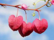 اس ام اس های غمگین و سنگین تکان دهنده