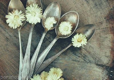 بهترین و خواندنی ترین دیالوگ های تاریخ سینما