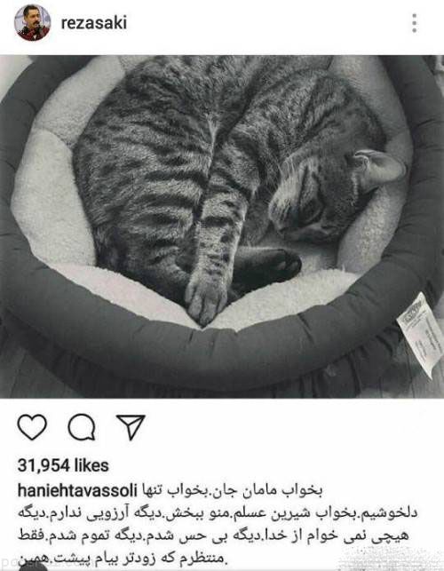 مرگ گربه هانیه توسلی جنجال به پا کرد +عکس