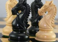 تست هوش جالب حرکت اسب ها در صفحه شطرنج