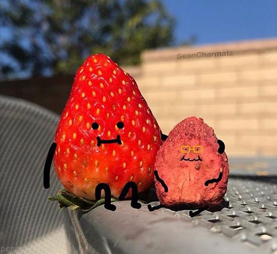 عکس های خنده دار این هفته (277)