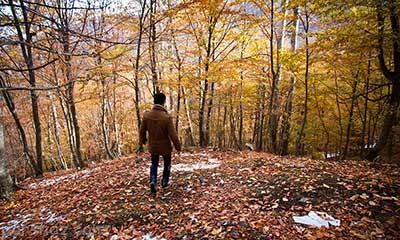 لزوم پیاده روی برای سلامتی در پاییز