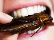 اتفاقات ناگوار در مسابقات بخور بخور +عکس