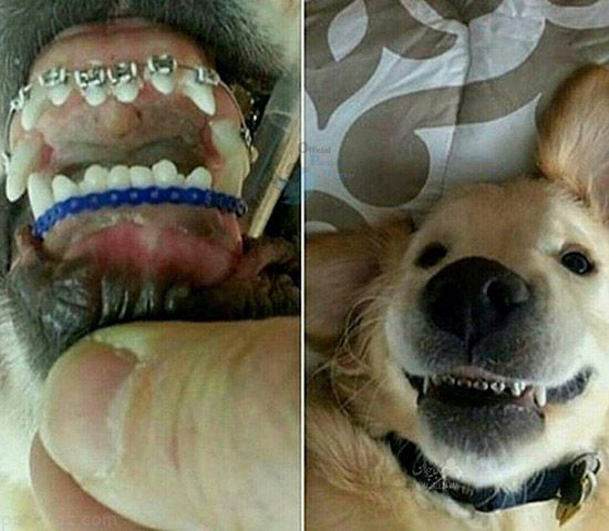 عکس های خفن طنز از سوژه های داغ (276)