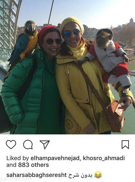 عکس های بازیگران و اخبار داغ هنرمندان (372)