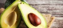 آووکادو و خاصیت های بسیار مفید آن