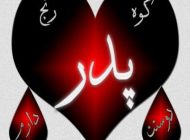 اشعار زیبای روز پدر | شعر روز پدر و تولد حضرت علی (ع) -سری جدید